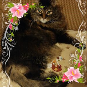 Meet your Posher, Debra